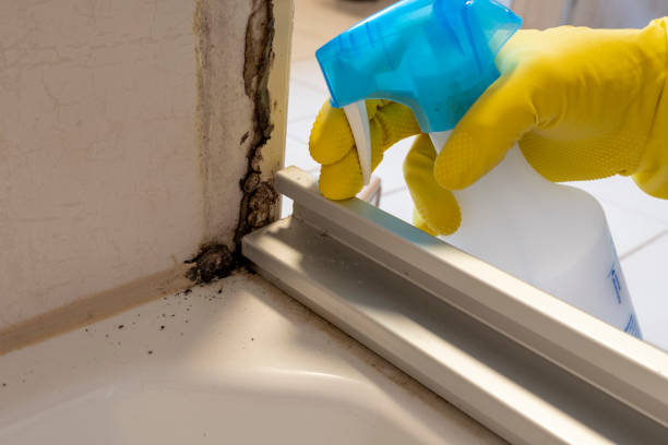 Best Fast Mold Removal  in Fairfield Plantation, GA