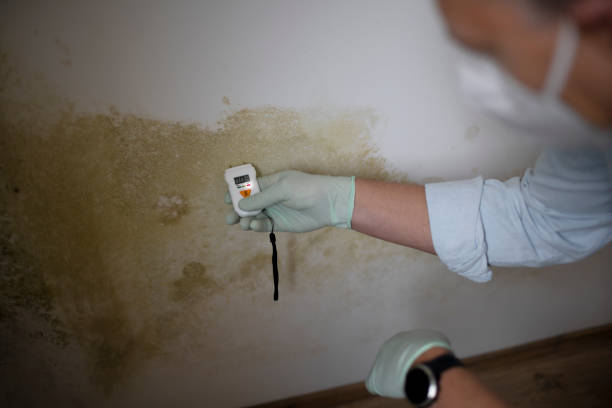 Best Office Mold Removal Services  in Fairfield Plantation, GA