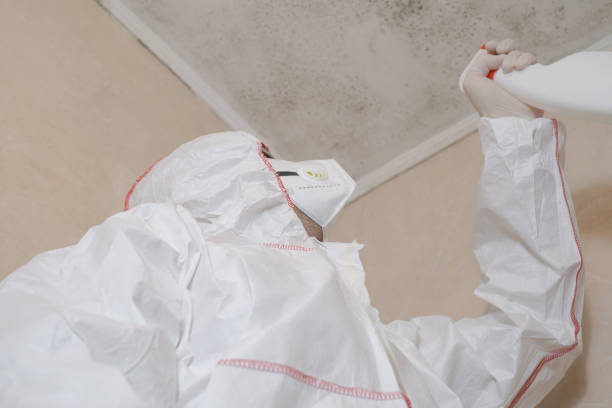 Best Mold Damage Repair  in Fairfield Plantation, GA