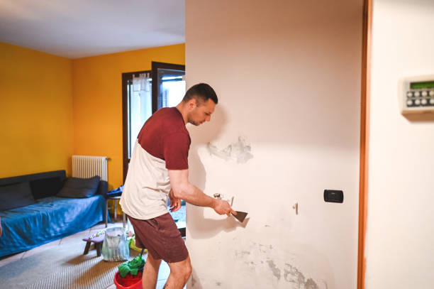 Best Home Mold Removal  in Fairfield Plantation, GA