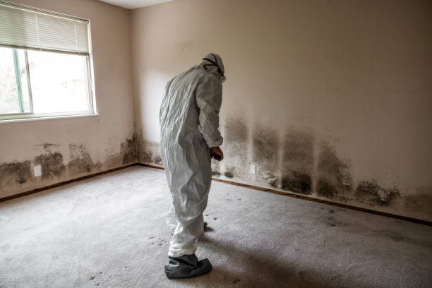 Best Mold Testing  in Fairfield Plantation, GA