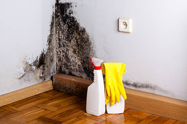 Best Mold Removal Process  in Fairfield Plantation, GA