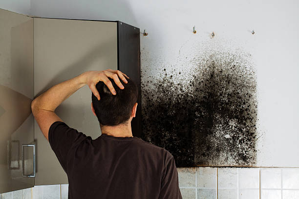 Mold Removal Process in Fairfield Plantation, GA