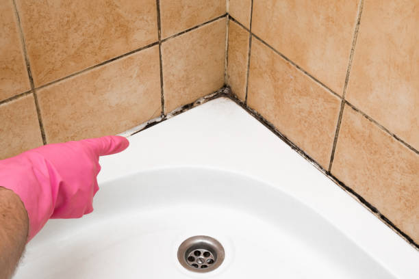 Best Affordable Mold Removal  in Fairfield Plantation, GA